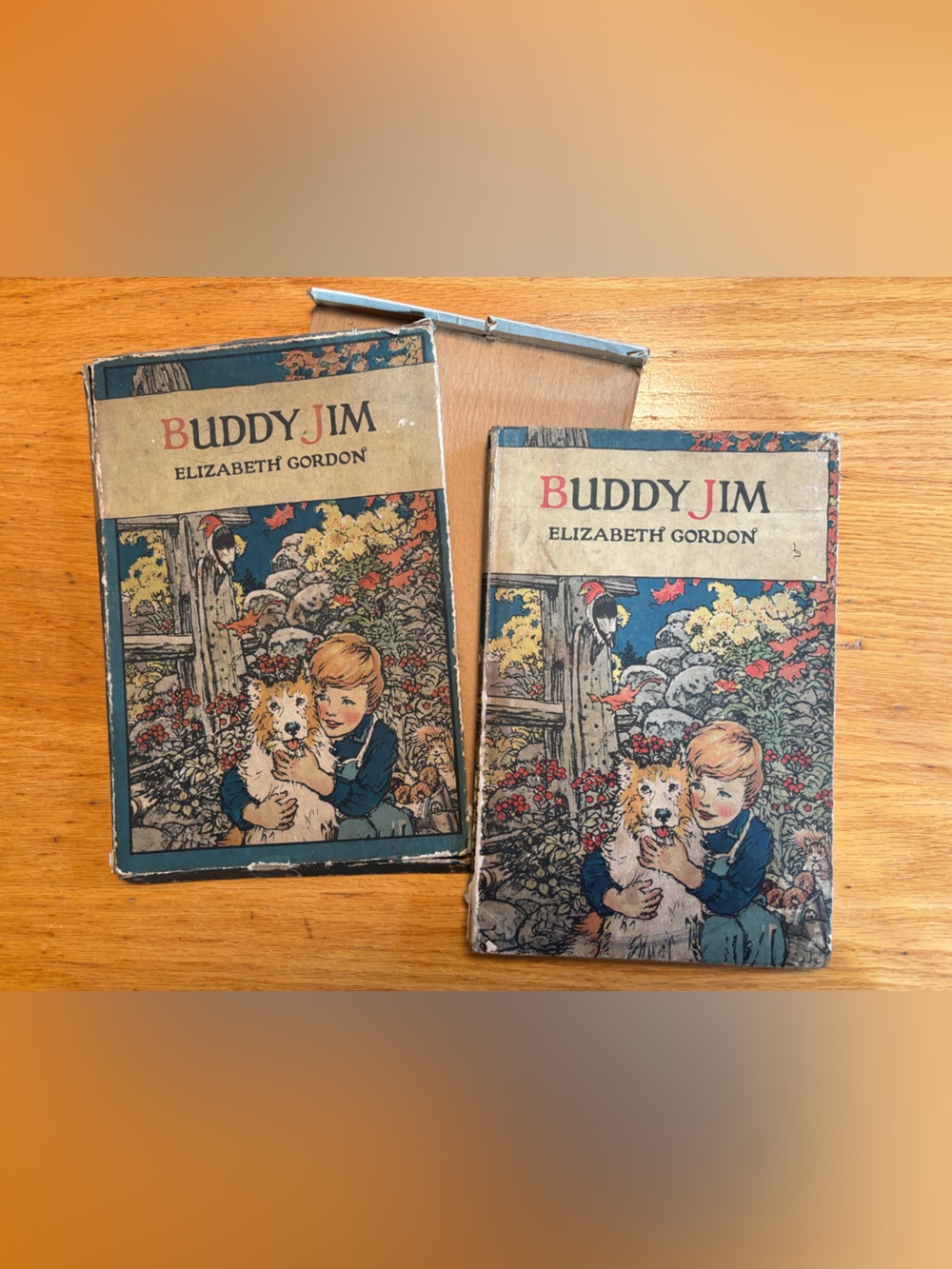 Buddy Jim by Elizabeth Gordon 1922 Vintage Children's Book w matching box